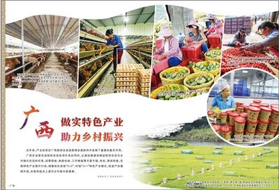 廣西 做實特色產業，激發農產品生產活力，助推鄉村振興
